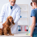 Vet Times Service and Support